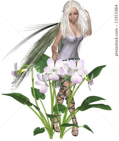 White Violet Fairy White Violet Fairy 11915864