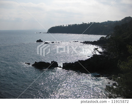 Sagami Bay 11915872