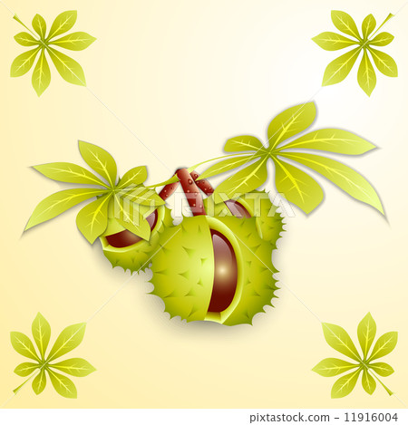 Vector illustration of chestnut branch and leaves 11916004