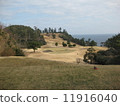 Golf course 11916040