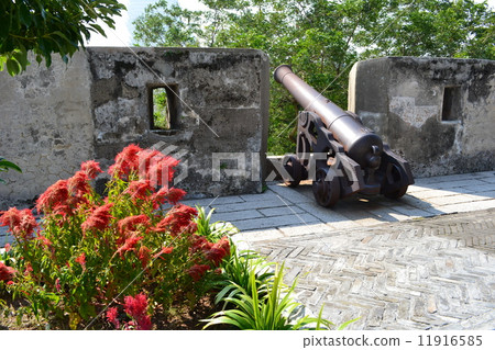 Fort of Monte 11916585