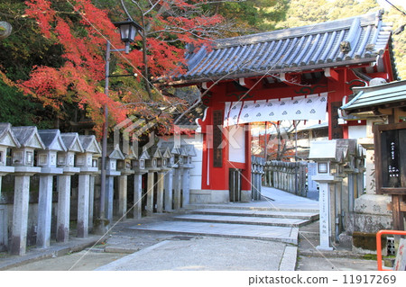 Asako Sonokoji Asako Sonokoji 11917269