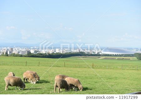 A shepherd observatory and a sheep 11917299