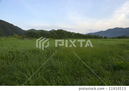 一個夏末的河床 一個夏末的河床 11918513