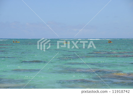 美國夏威夷哈瑙瑪灣 11918742