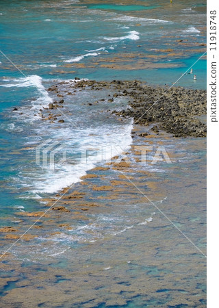 美國夏威夷哈瑙瑪灣 11918748