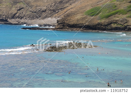 America Hawaii Hanauma Bay America Hawaii Hanauma Bay 11918752