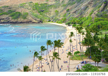 美國夏威夷哈瑙瑪灣 美國夏威夷哈瑙瑪灣 11918768