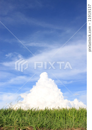 Summer cloud Summer cloud 11919137