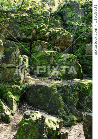 Rocks overgrown with moss Rocks overgrown with moss 11919631