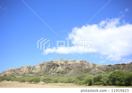 Diamond Head 11919823