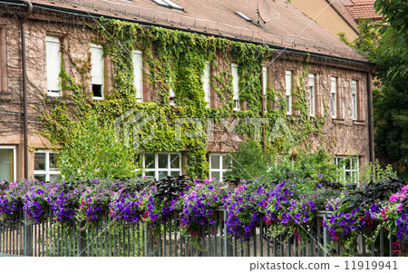 Beautiful house overgrown with ivy in Bavaria 11919941