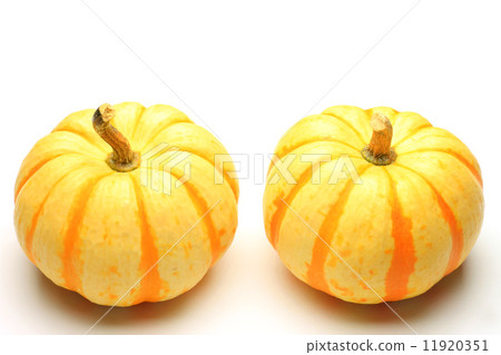 Pumpkin 11920351