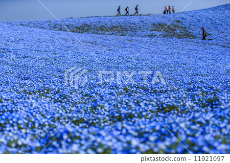 Blue Hill Blue Hill 11921097