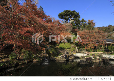 Hase-dera寺廟秋葉 11923481