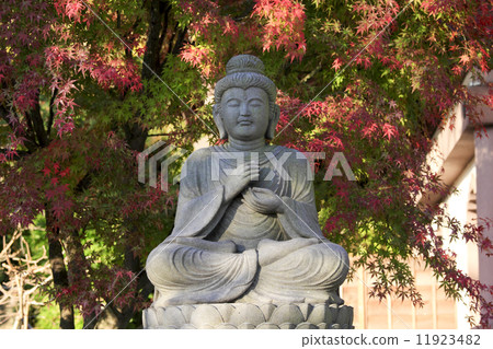 Hase-dera寺廟秋葉 Hase-dera寺廟秋葉 11923482