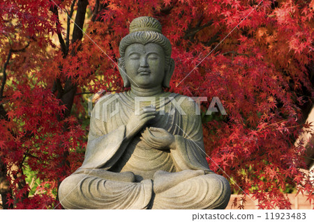 Hase-dera寺廟秋葉 Hase-dera寺廟秋葉 11923483