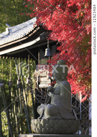 Hase-dera寺廟秋葉 11923484