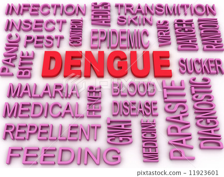 3d image Dengue concept word cloud background 3d image Dengue concept word cloud background 11923601