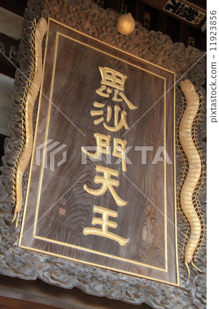 Asako Sonokoji Asako Sonokoji 11923856