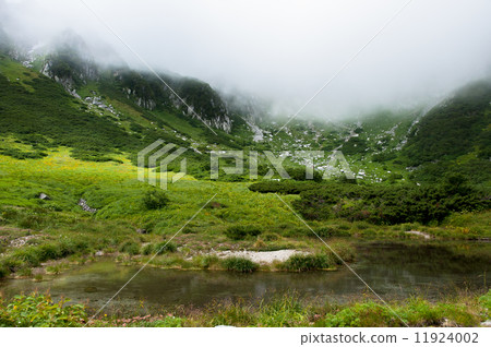 Senjojiki Senjojiki 11924002