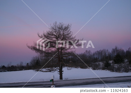 Sunset Sunset 11924163