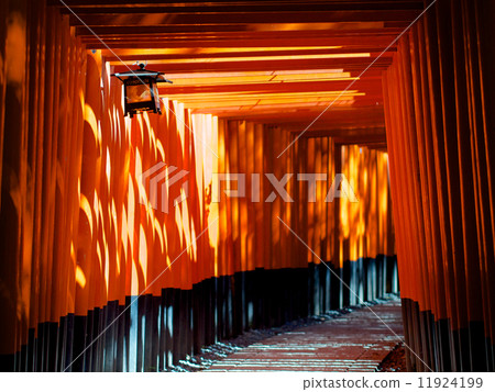 Senbon Torii  - 伏見稻荷神社 11924199