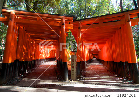 Senbon Torii - 伏見稻荷神社 Senbon Torii - 伏見稻荷神社 11924201