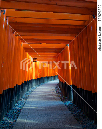Senbon Torii - 伏見稻荷神社 Senbon Torii - 伏見稻荷神社 11924202