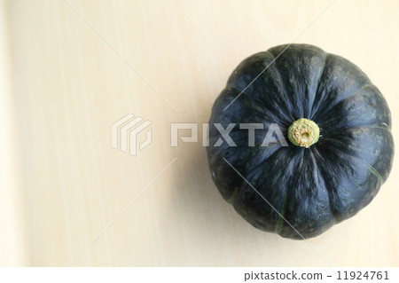 Squash (Botchan Pumpkin) 11924761