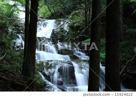 White dragon waterfall 11924822