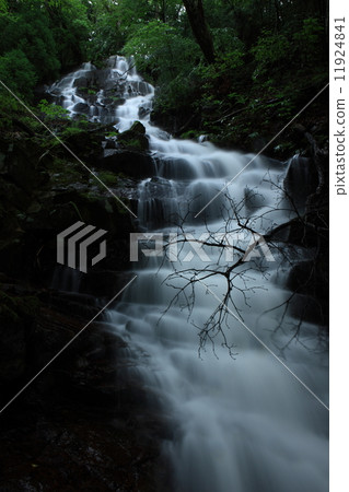 White dragon waterfall 11924841