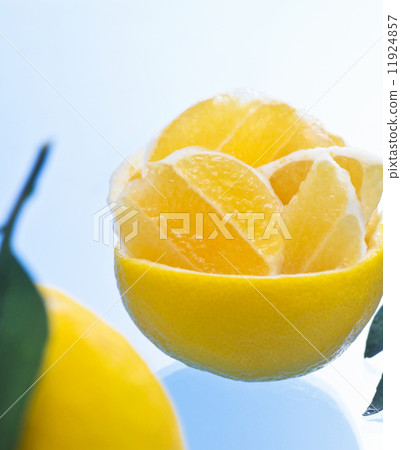 日向夏天 11924857