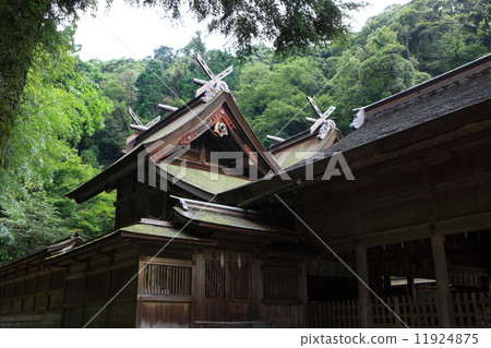Miho Shrine Miho Shrine 11924875