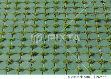 design of floor with use cement and grass design of floor with use cement and grass 11925530