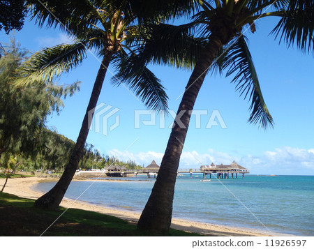 I have to go to charge soon. I have to go to charge soon. 11926597