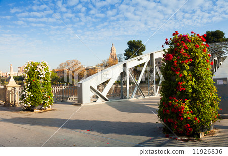 Puente Nuevo over Segura. Murcia, Spain 11926836