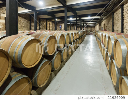 winery with wooden barrels in rows winery with wooden barrels in rows 11926909