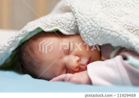 newborn baby 11929489