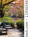 Autumn park 11930248