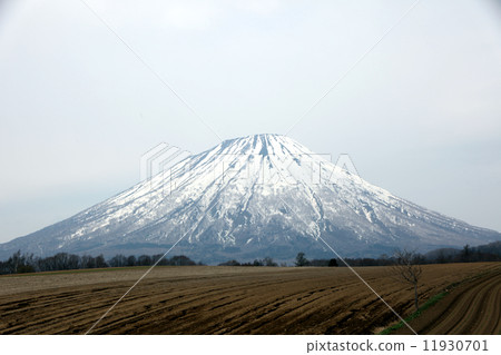 羊蹄山 羊蹄山 11930701