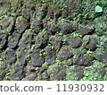 Cobble 11930932