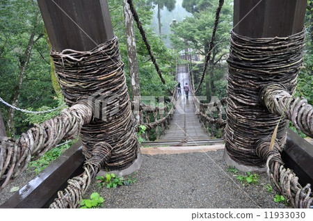 Kazura Bridge 11933030