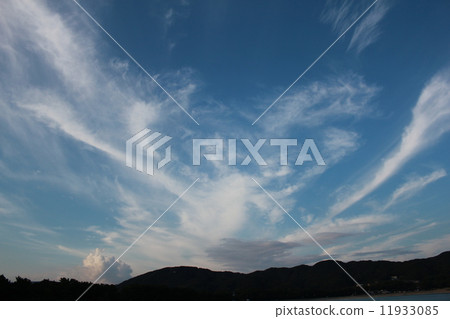 波 波 11933085