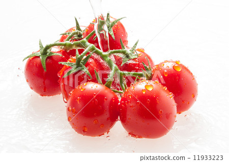 Tomato   11933223