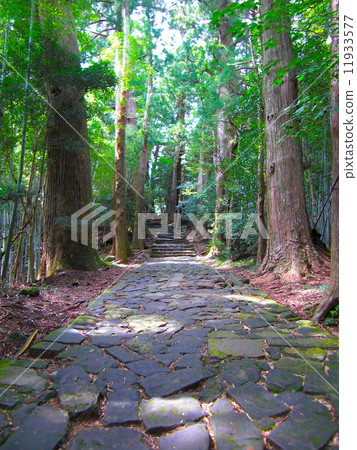 Kumano Kodo Daimonzaka 11933577