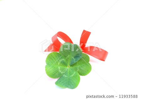 Yotsuba's Clover Yotsuba's Clover 11933588