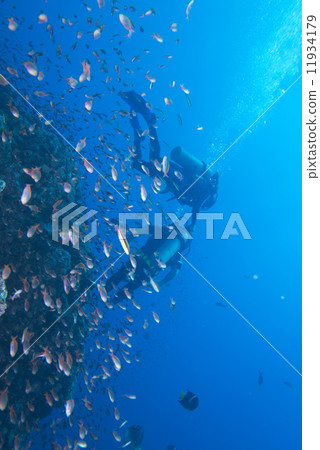 handicapped disabled diver 11934179