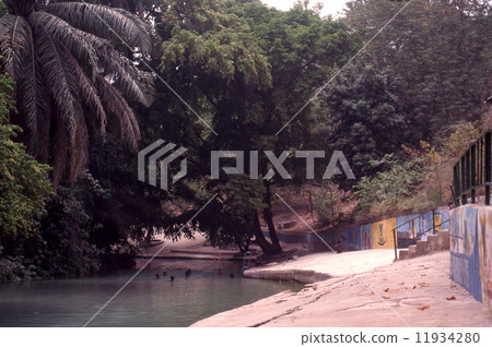 Yankari國家公園溫泉池 11934280