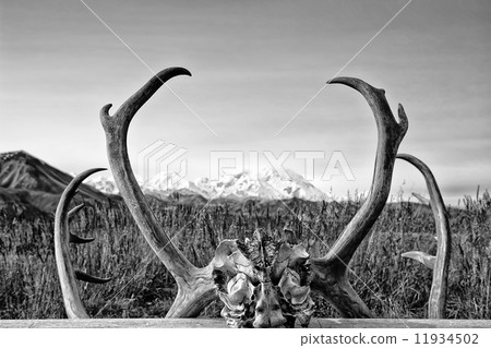 Alaska Denali Park Mc Kinley frame 11934502